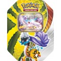 Raging Bolt EX Paradox Destinies Tin